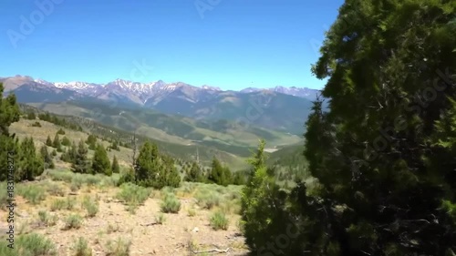 Expansive mountain vista with evergreen forest and clear blue sky