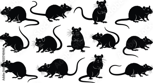 Detailed Black Silhouettes of Rats: Collection of Rodents in Various Poses Including Standing and Running, Vector Graphic Set for Pest Control, Animal, or Scientific Design Projects, Isolated.