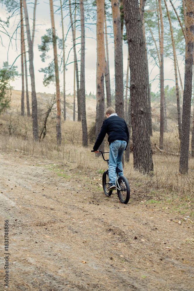 Fototapeta premium Young boy riding a BMX bike on a dirt path through a serene pine forest on an overcast day, enjoying outdoor activity and nature.