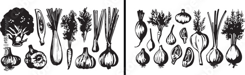 Botanical herb illustration, medicinal plant drawing, natural root sketch, organic herb vector, herbal medicine artwork, hand drawn plant art, botanical outline clipart, vintage herbal design, natural