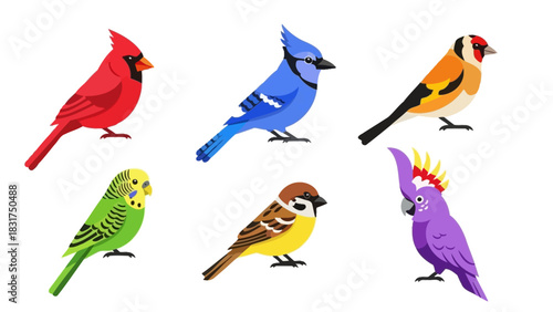 A vibrant collection of six different bird species, including a cardinal, blue jay, and cockatoo, isolated on a white background.