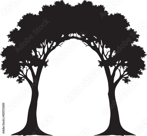 A striking silhouette of twin trees forming a beautiful woodland entrance
