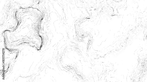 Black and white abstract contour lines creating a topographic map like pattern background