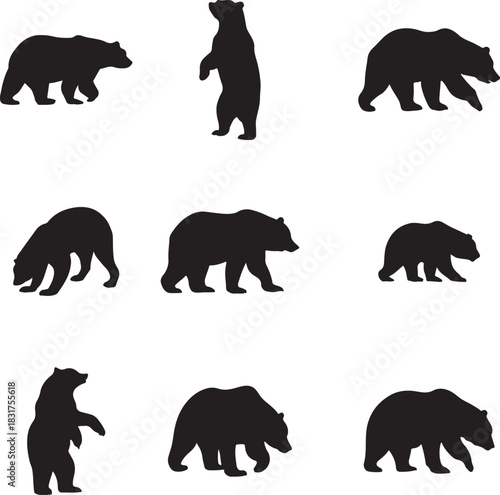 Bear Silhouette Vector Collection in Various Poses - Wild Animal Icons