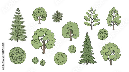 Vector illustration set of hand-drawn green trees, showing both elevation and top-down plan views for landscape architecture design