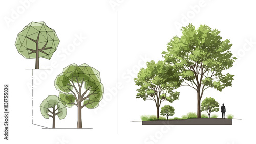 Detailed Illustrative Concepts of Diverse Tree Species and Landscape Design Elements for Architectural Visualizations and Green Space Planning
