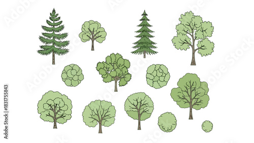 Collection of Various Trees and Bushes in Different Shapes and Sizes