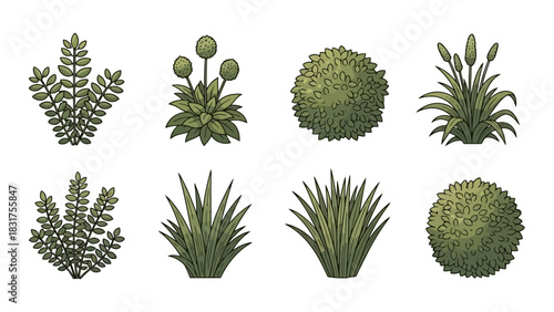 Variety of stylized plants including shrubs, grasses, and flowers, suitable for design elements