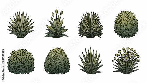 Collection of various stylized green shrubs and plants in a symmetrical arrangement