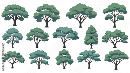 Variety of Tree Illustrations A Collection of Realistic Tree Graphics