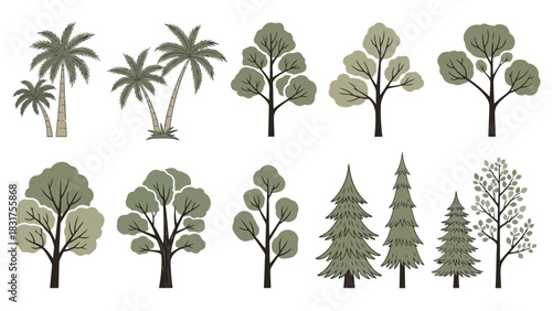 A diverse collection of stylized vector trees in a flat design, including palm, pine, and deciduous varieties for landscape and nature concepts