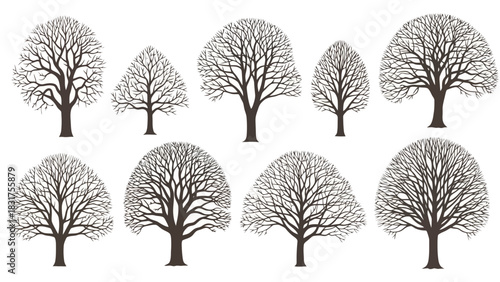 Collection of Bare Trees Silhouette Illustrations for Design and Creative Projects