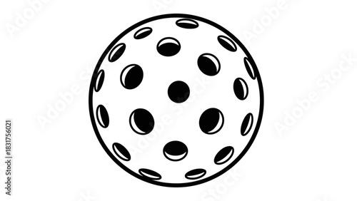 Pickleball Equipment A Detailed Look at a Pickleball