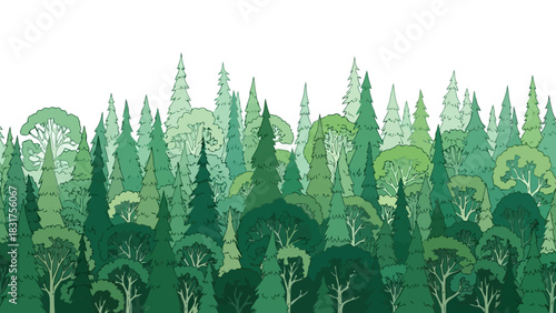 A refreshing and vibrant evergreen forest landscape illustration with varying shades of green trees
