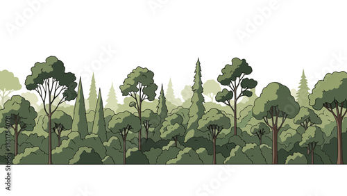 Lush Forest Border Illustration of Trees and Greenery