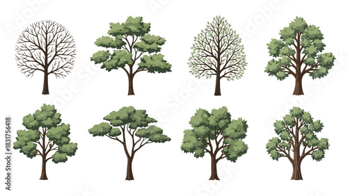Collection of Diverse Trees in Various Styles and Seasons