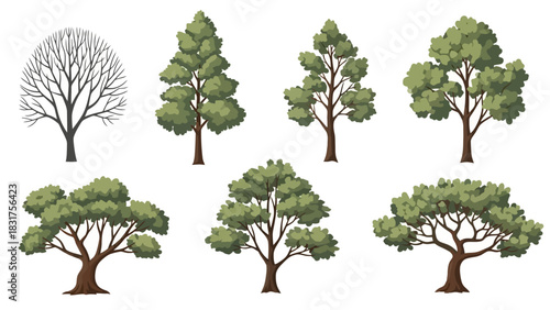 Collection of various deciduous and evergreen trees in different seasons and styles