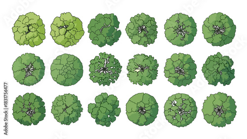 Conceptual collection of top-down tree illustrations for architectural drawings and environmental landscape design