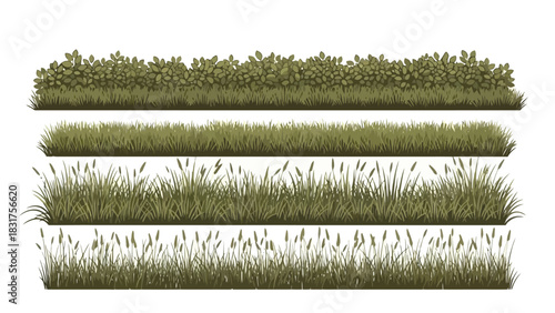 A Selection of Natural Green Grass Border Vector Graphic Elements