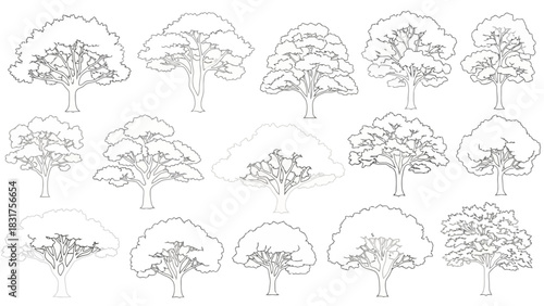 Collection of Various Hand-Drawn Tree Illustrations in Outline Style