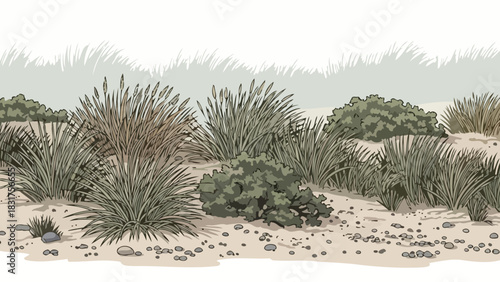Dry Desert Scrubland Vegetation Vector Illustration of Desert Plants