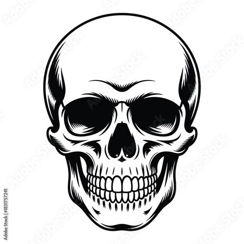 Detailed black and white illustration of a human skull viewed from the front