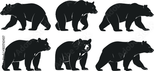 Black silhouette vector illustration set of bears in various walking and standing poses, isolated on white background, wildlife animal graphic design.