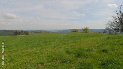 Lower flat hill covered by fresh green meadow with small forest on the background - Kravi hora hill near Mesto Albrechtice town in Czech republic