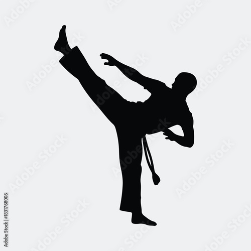 Silhouette capoeira fighter performing martial arts kick vector illustration