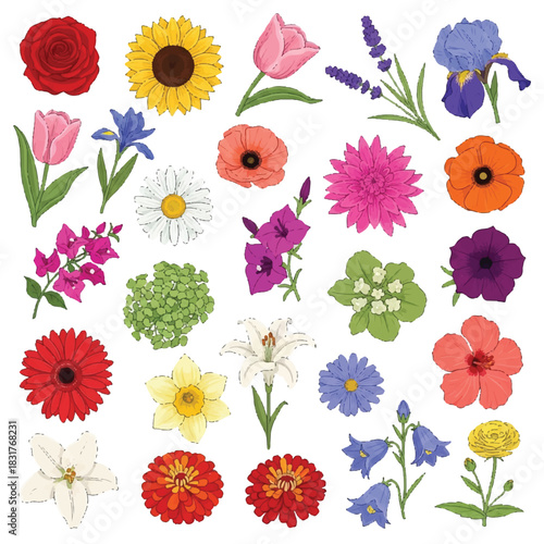 Colorful flat vector floral collection showcasing eighteen unique flower species and leaves, brightly illustrated in a simple 2D graphic style against a clean white backdrop.