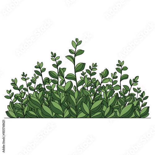 Vibrant decorative page separator featuring lush green foliage and leaves