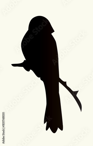 Vector drawing. Tit on white sky backdrop.
