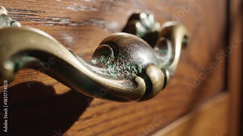 Wallpaper Mural Closeup of an ornate brass drawer pull on a wooden surface Torontodigital.ca