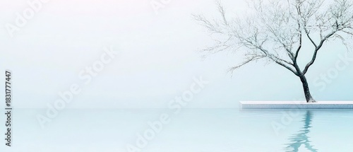 A minimalistic image featuring a bare tree standing next to water, with reflections, against a soft, light blue background. The scene evokes a sense of calm and