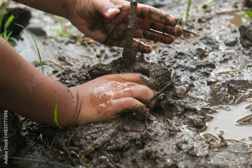 Close up of a child's hand planting a tree in wet mud