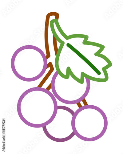 Grapes fruit line art with bold color outline. Easy coloring page for little children and nursery projects. Isolated vector image for educational books, games or learning activities