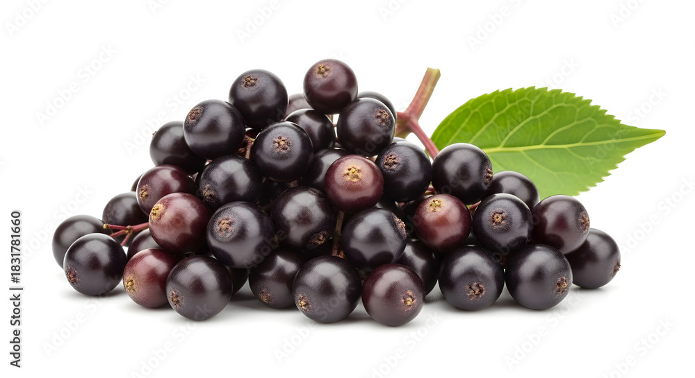 Fototapeta premium Fresh elderberries piled with vibrant green leaf on white background 