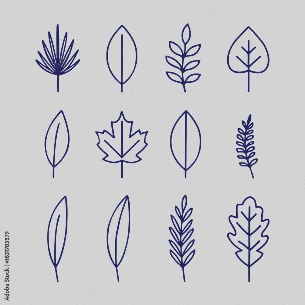 Fototapeta premium boho leaf icon set