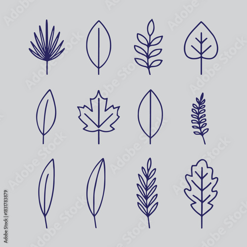 boho leaf icon set