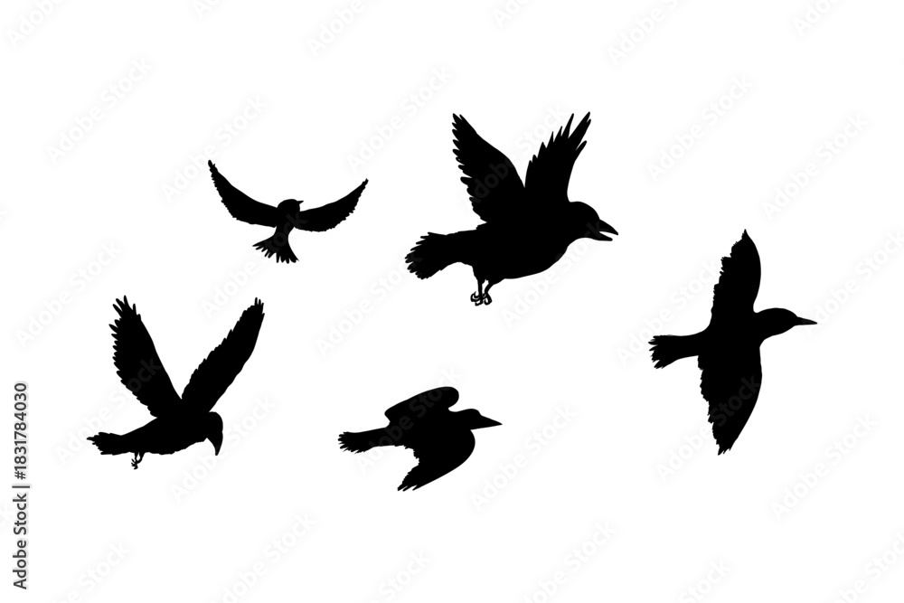 Naklejka premium Flying flock of birds silhouette, Simple swallows in flight, crows in the sky. Group of birds border.