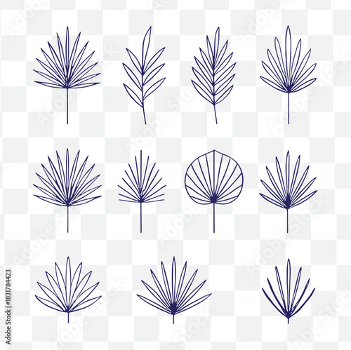 boho palm leaf icon set