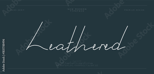 Classic elegant design font. Vector illustration of typography alphabet. Sans serif stylish display fonts.