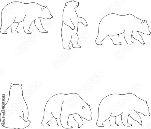 Bear Outline Drawings Set in Various Poses - Wild Animal Vector Line Art