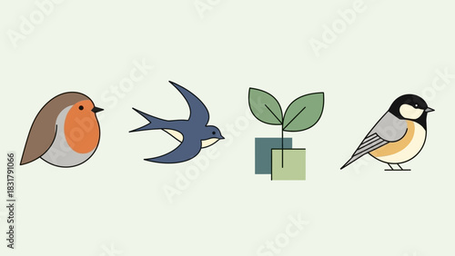 Four minimalist illustrations of different birds and a plant on a light green background, showcasing nature's elements.