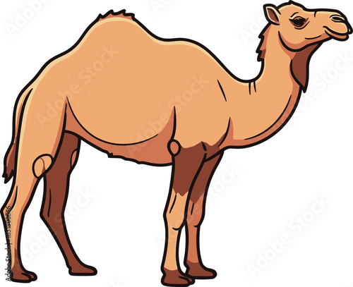 Cartoon camel standing calmly against a white background in a simple style