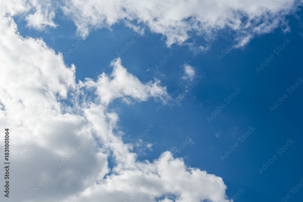 Obraz premium 秋の終わりに青空と雲を見上げる24