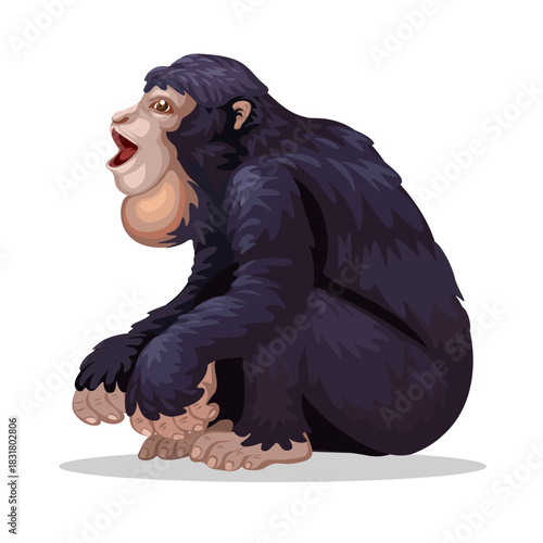 Siamang Ape Sitting and Calling. Wildlife Animal Illustration Vector