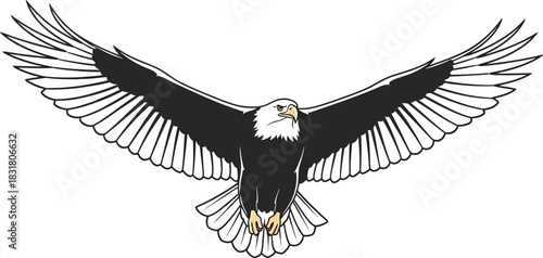 Majestic bald eagle soars with outstretched wings against a white background