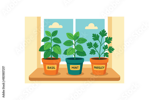 Flat vector illustration of bright window sill garden with vivid basil mint and parsley pots rounded shapes clean flat design