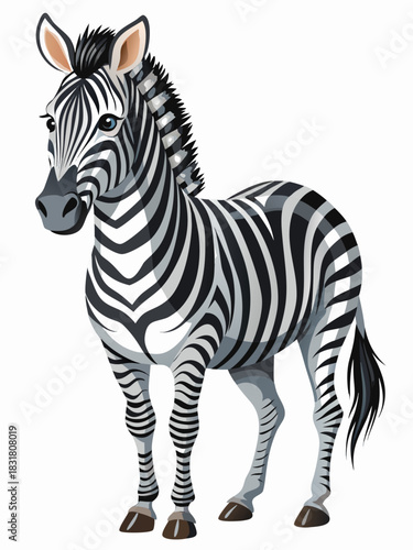 zebra real, full body , white background	